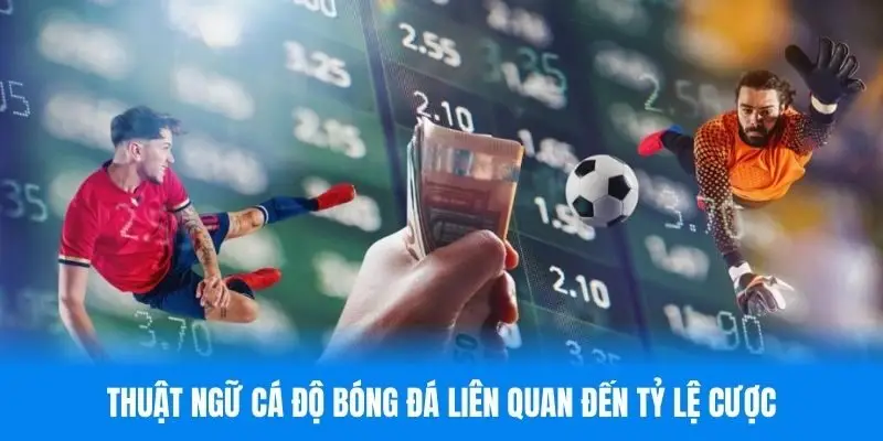 Những ưu điểm khi nắm rõ các thuật ngữ cá độ bóng đá